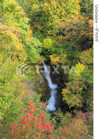 秋山郷の秋 蛇淵の滝 秋山郷の秋 蛇淵の滝 44904045