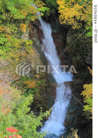 秋山郷の秋 蛇淵の滝 44904056