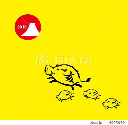 イノシシのイラスト 44905070