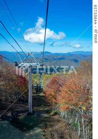 ゴンドラ ゴンドラ 44905139