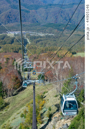 ゴンドラ 44905146