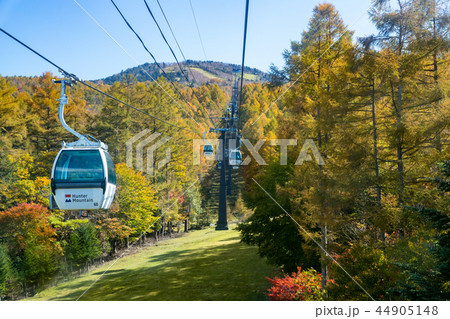 ゴンドラ ゴンドラ 44905148