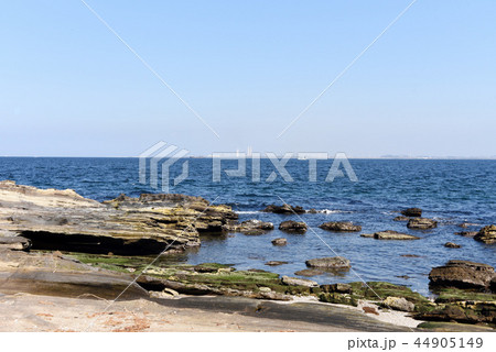 観音崎海岸 観音崎海岸 44905149
