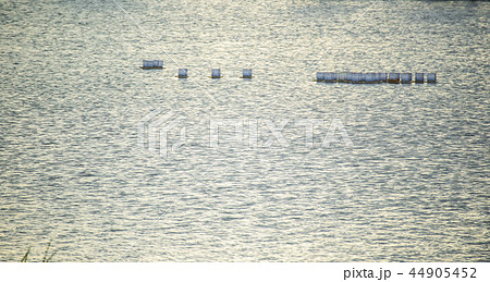 水 水分 ウォーター 44905452