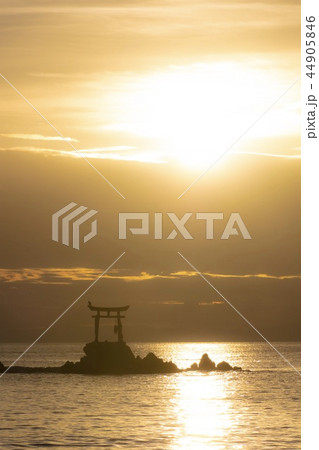奈多海岸の夜明け 44905846