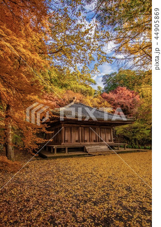 富貴寺の紅葉 富貴寺の紅葉 44905869