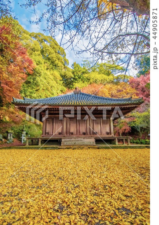 富貴寺の紅葉の写真素材