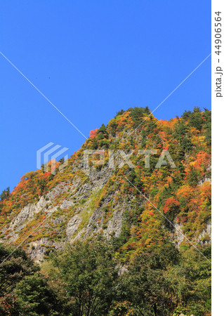 秋山郷　秋の布岩 44906564
