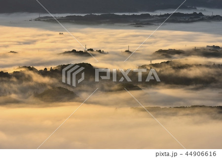 朝日に輝る秩父盆地にかかる朝霧の雲海と丘陵 44906616