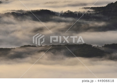 朝日に輝る秩父盆地にかかる朝霧の雲海と丘陵 44906618