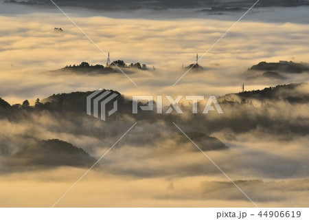 朝日に輝る秩父盆地にかかる朝霧の雲海と丘陵 44906619