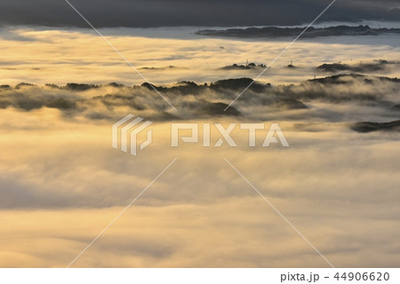 朝日に輝る秩父盆地にかかる朝霧の雲海と丘陵 44906620