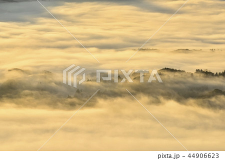 朝日に輝る秩父盆地にかかる朝霧の雲海と丘陵 44906623