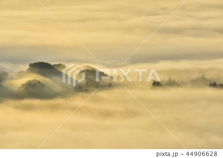 朝日に輝る秩父盆地にかかる朝霧の雲海と丘陵 44906628
