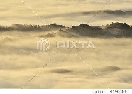 朝日に輝る秩父盆地にかかる朝霧の雲海と丘陵 44906630