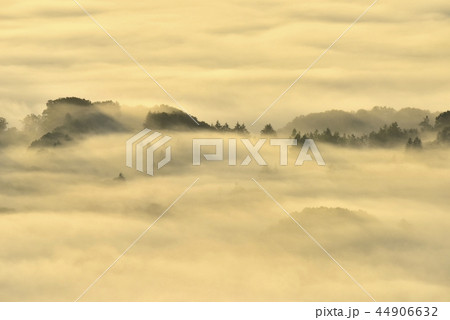朝日に輝る秩父盆地にかかる朝霧の雲海と丘陵 44906632