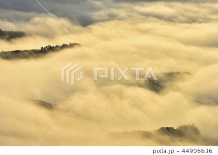 朝日に輝る秩父盆地にかかる朝霧の雲海と丘陵 44906636