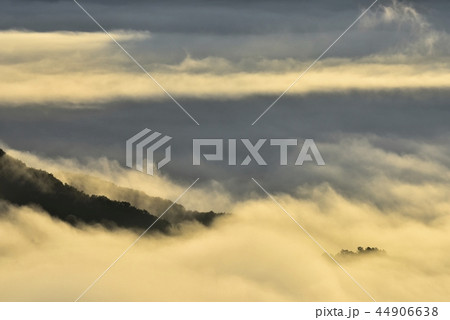 朝日に輝る秩父盆地にかかる朝霧の雲海と丘陵 44906638