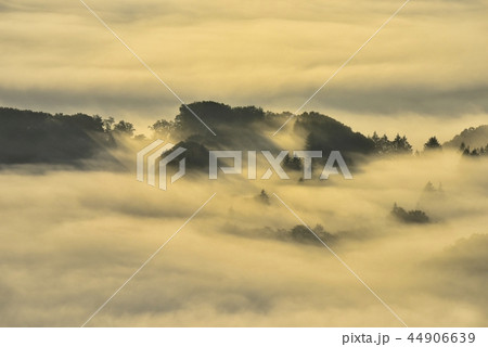 朝日に輝る秩父盆地にかかる朝霧の雲海と丘陵 44906639