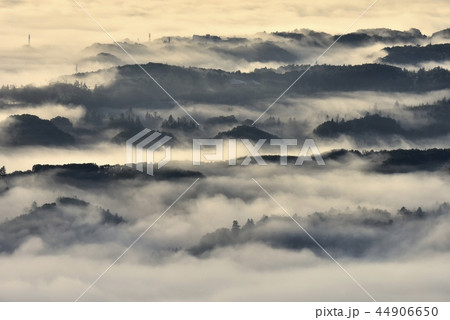 朝日に輝る秩父盆地にかかる朝霧の雲海と丘陵 44906650