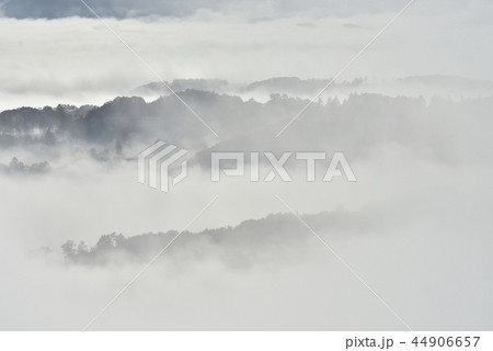 秩父盆地にかかる朝霧の雲海と丘陵 秩父盆地にかかる朝霧の雲海と丘陵 44906657