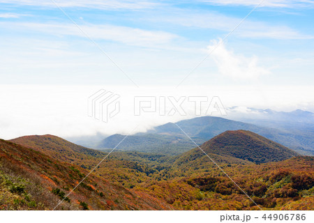 栗駒山の紅葉 44906786