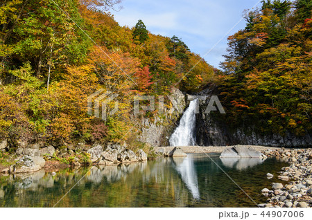 秋 法体の滝 秋田県 秋 法体の滝 秋田県 44907006