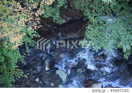 那須塩原の渓谷 那須塩原の渓谷 44907180