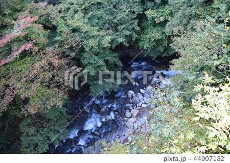 那須塩原の渓谷 那須塩原の渓谷 44907182