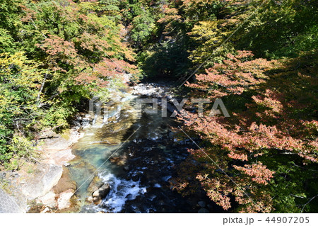 那須塩原の渓谷 那須塩原の渓谷 44907205