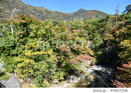 那須塩原の渓谷 那須塩原の渓谷 44907206