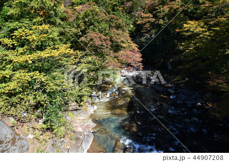 那須塩原の渓谷 那須塩原の渓谷 44907208