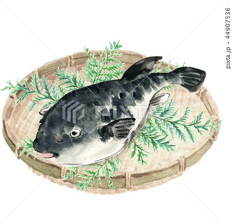 水彩画 生物細密画「イシガニ」 真作