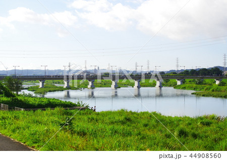 多摩川から望む日野橋 多摩川から望む日野橋 44908560