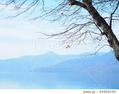 北海道 支笏湖の秋風景 北海道 支笏湖の秋風景 44908595
