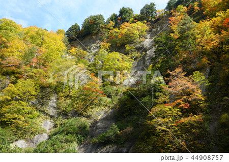 日本百景:奥裾花渓谷 絶壁の紅葉 長野市鬼無里 日本百景:奥裾花渓谷 絶壁の紅葉 長野市鬼無里 44908757
