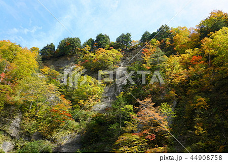 日本百景:奥裾花渓谷 絶壁の紅葉 長野市鬼無里 日本百景:奥裾花渓谷 絶壁の紅葉 長野市鬼無里 44908758