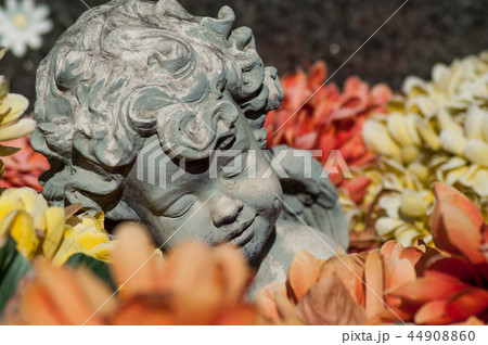 stoned angel sleeping in colorful flowers  44908860