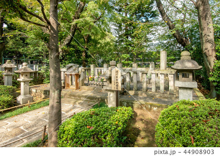松陰神社 44908903