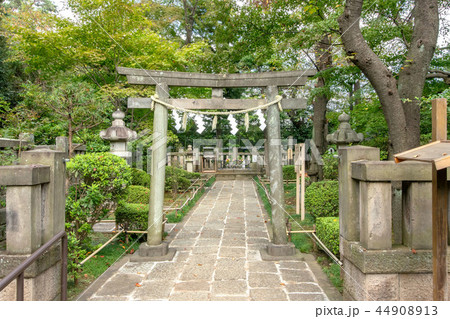 松陰神社 松陰神社 44908913