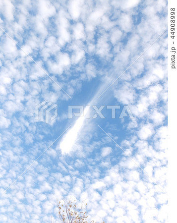高積雲 高積雲 44908998