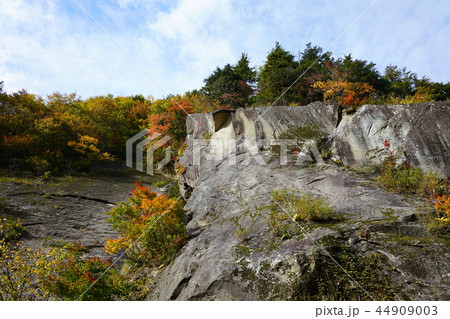 日本百景：奥裾花渓谷 絶壁の紅葉　長野市鬼無里 44909003