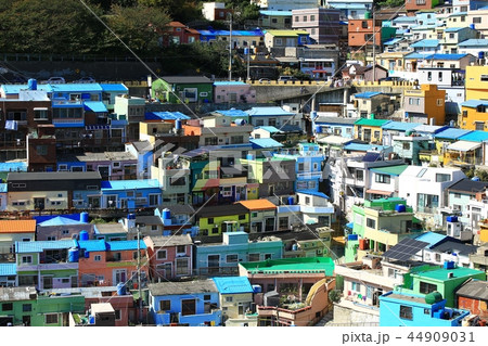 住宅 近所 村 44909031