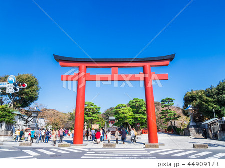 鎌倉 鶴岡八幡宮 三の鳥居 鎌倉 鶴岡八幡宮 三の鳥居 44909123