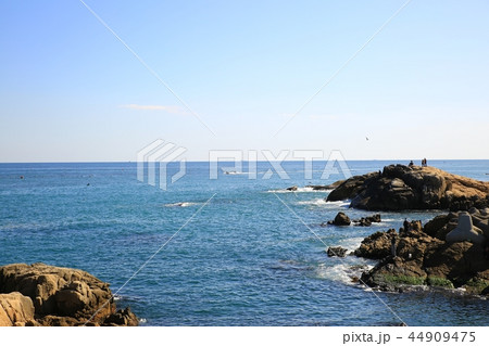 海 浜 岩 44909475