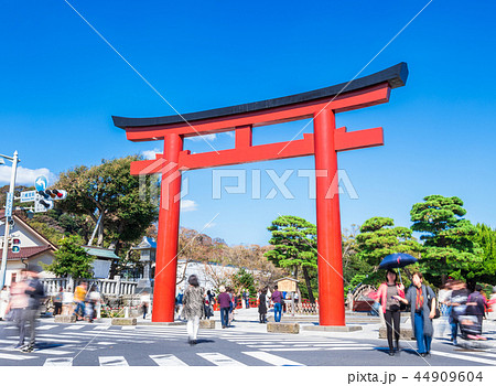 鎌倉 鶴岡八幡宮 三の鳥居 鎌倉 鶴岡八幡宮 三の鳥居 44909604