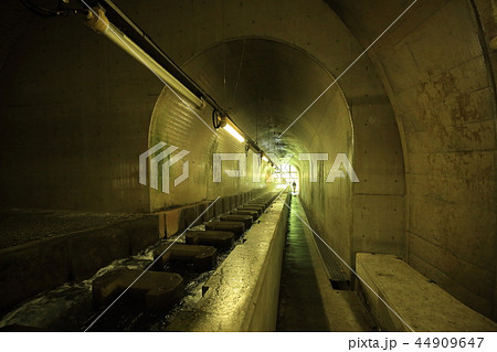 奥多摩 白丸ダム魚道 44909647