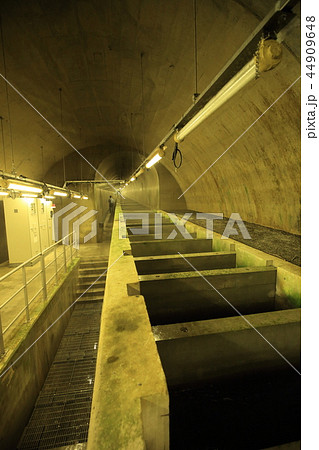 奥多摩 白丸ダム魚道 44909648