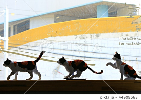 動物 モデル 静物 44909668