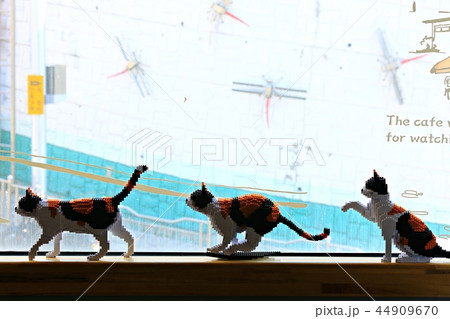 動物 モデル 静物 44909670